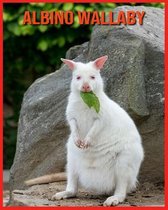 Albino Wallaby