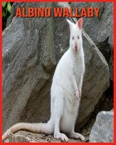 Albino Wallaby