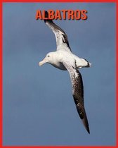 Albatros