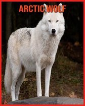 Arctic wolf