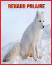 Renard Polaire