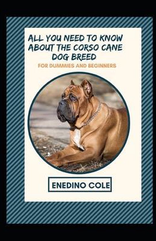 All You Need To Know About The Corso Cane Dog Breed For Dummies And