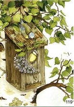 Inge Look natuur wenskaarten ( 10 stuks ) met unieke steigerhouten wissellijst. Kleur grijs