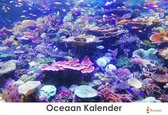 Oceaan - Onderzee - Zeeleven verjaardagskalender 35x24cm | Wandkalender | Kalender | Verjaardagskalender Volwassenen
