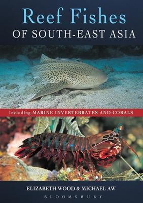 Reef Fishes of SouthEast Asia
