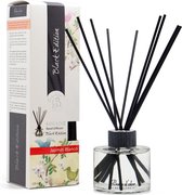 Boles d'olor Black Edition geurstokjes 125 ml - Witte Jasmijn (Jazmin blanco)