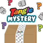 Tangle Toys Pakket - Fidget & Focus Box - Originele Fidget Toys Set - Variant Roze