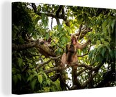 Canvas Schilderij Aap - Jungle - Bladeren - Dieren - Bos - 30x20 cm - Wanddecoratie