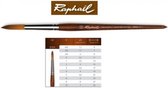 Raphael Precision Aquarelverf penseel rond 10