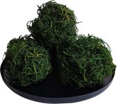 Groene mosballen - Groendecoratie voor op tafel - Natuurlijke woonaccessoires - Per set van 3 mosballen