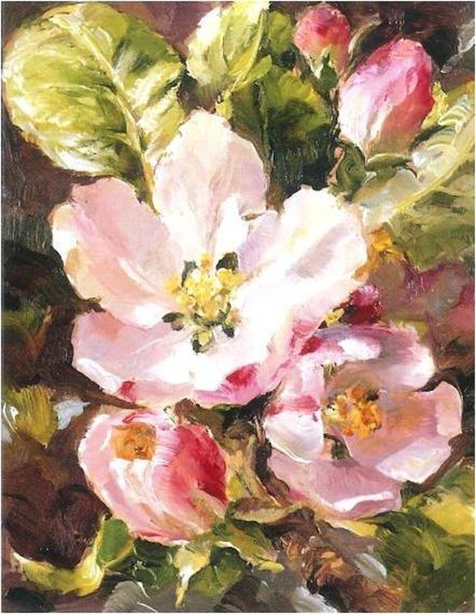 Cadeaukaart Appel bloesem 7,5x9,5cm