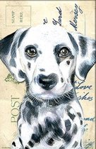 Dubbele kaart met env. Hond Dalmatian 11,5x17,5cm