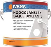 Ivana zijdeglanslak - RAL 9010 - wit - hoogglans - 0,75 l - binnen&buiten - hout/metaal/kunststof