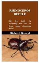 Rhinoceros Beetle