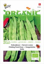 Haricots verts bio Buzzy® Helda (BIO)
