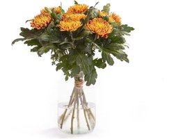 Herfstchrysanten (10 stelen)