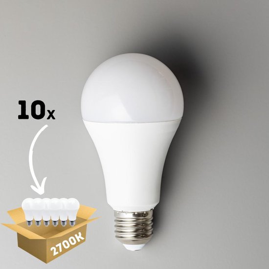 Proventa PowerPlus LED lampen met grote E27 fitting - Voordeelverpakking -  10 x... | bol.com