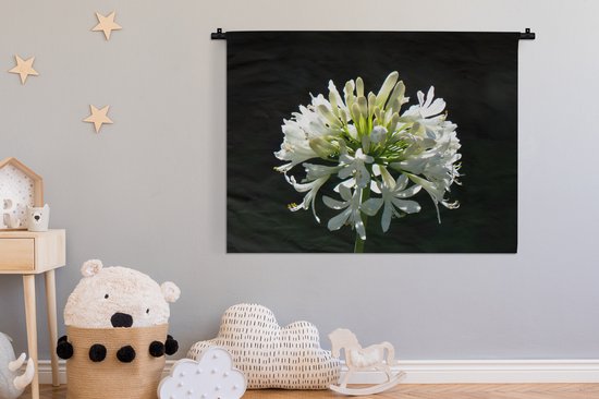 Tapisserie Plantes sur fond noir - Un agapanthe blanc en fleurs sur fond sombre Tapisserie en coton 150x112 cm - Tapisserie avec photo