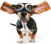 Muursticker Hond met pilotenbril