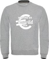 Foxwild Trui met Euro grijs | Massa is kassa | Peter Gillis | sweater | unisex