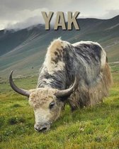 Yak