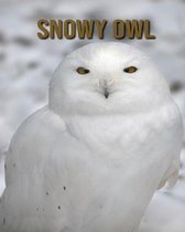 Snowy owl