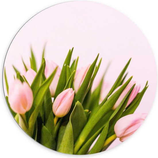 Dibond Wandcirkel - Roze Tulpen met Groene Bladeren - 100x100cm Foto op Aluminium Wandcirkel (met ophangsysteem)