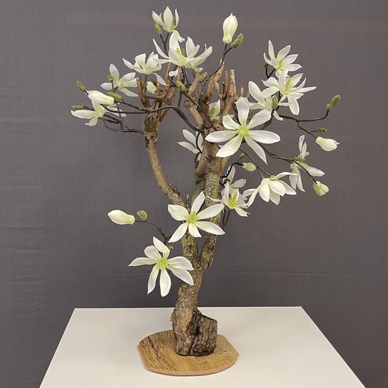 Seta Fiori - Magnolia - arbre artificiel - plante artificielle - blanc -  75cm - | bol.com