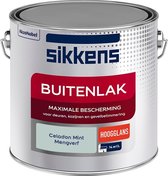 Sikkens Buitenlak - Verf - Hoogglans - Mengkleur - Celadon Mint - 2,5 liter