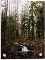 Tuinposter – Riviertje met Waterval in het Bos - 30x40cm Foto op Tuinposter  (wanddecoratie voor buiten en binnen)
