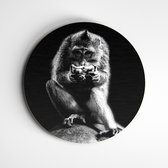 Muurcirkel aap zwart wit | Exclusive Animals | wanddecoratie apen - 120x120cm