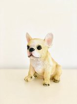 Hond - puppy - Franse Buldog - blond - polyester -polystone - beeld - tuinbeeld - hoogkwalitatieve kunststof - decoratiefiguur - cadeau - geschenk