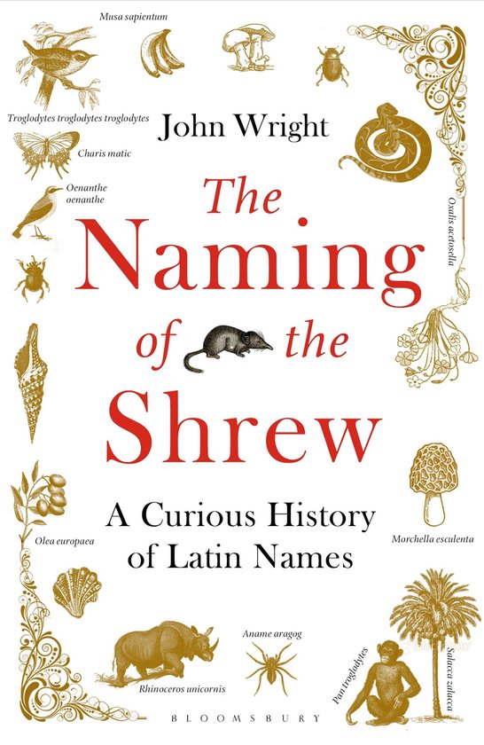 The Naming of the Shrew - cover
