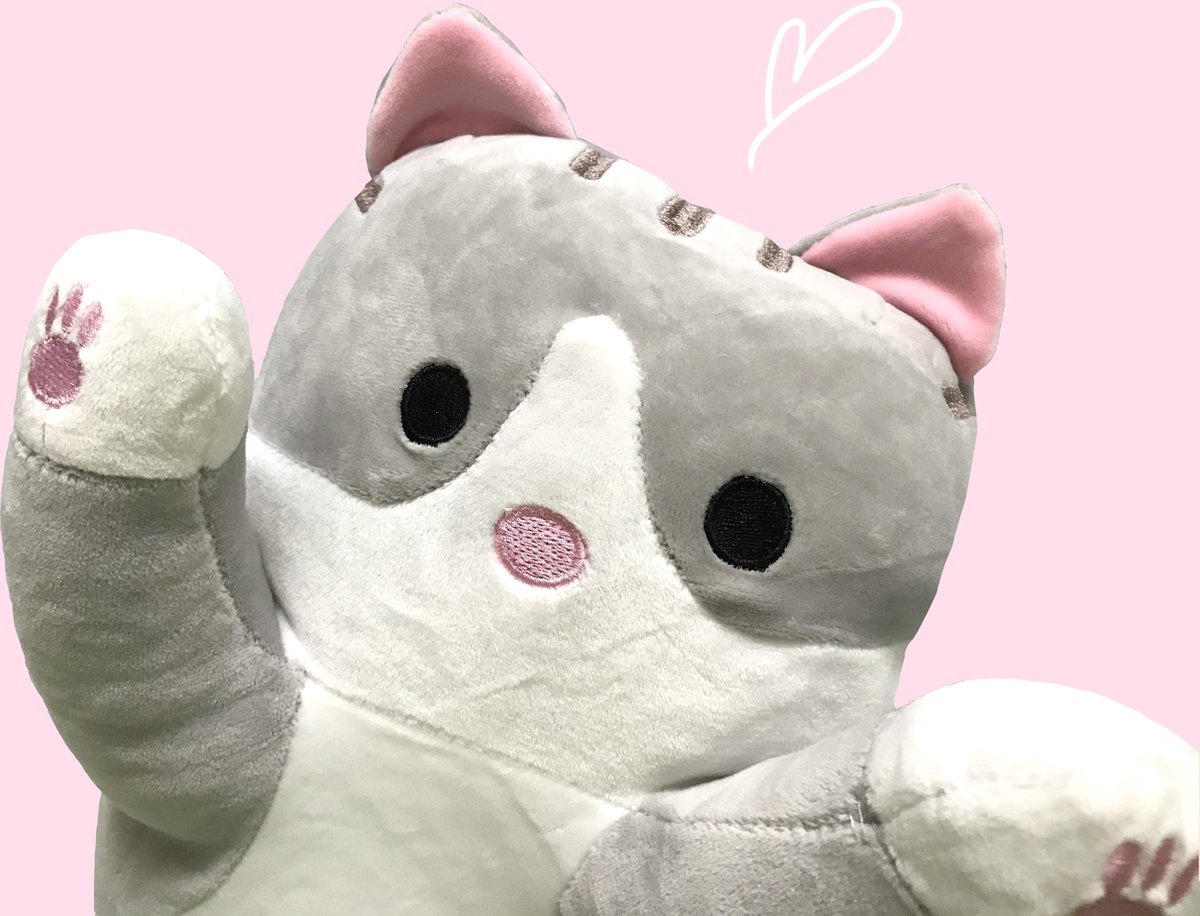 bol.com | Kawaii Lange Kat Knuffel grijs | 80cm kat plush ...