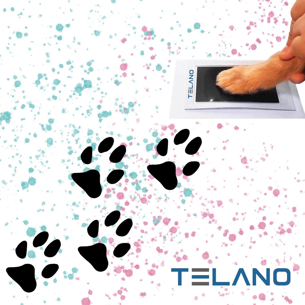 Telano® Pootafdruk Hond of Kat - Afdruk Huisdier Poes maken - Zwart