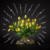 Boeket van 15 Prachtige gele tulpen met bol by BOLT Amsterdam – Een origineel cadeau & rechtstreeks van de kweker
