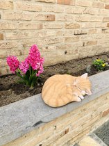 Farmwood de chat chat rouge endormi pour intérieur ou extérieur Farmwood 12x28x20 cm