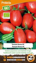 Protecta Groente zaden: Tomaat Roma VF Biologisch