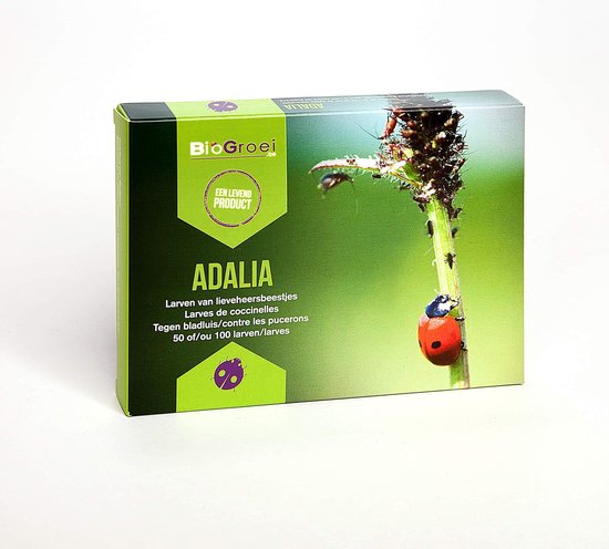 Biogroei Adalia - larven van lieveheersbeestjes - 100 stuks - Bladluis bestrijden - 100% natuurlijk - Ongediertewering