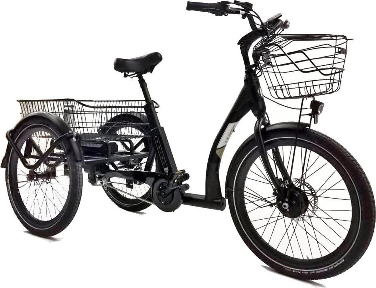 Wee Go Smart Swing driewieler trike e-bike met voorwielmotor, Shimano Nexus  3 naaf, 360Wh | bol.com