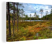 Forêt aux couleurs d'automne dans le parc national de Skuleskogen en Suède Toile 90x60 cm - Tirage photo sur toile (Décoration murale salon / chambre)