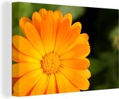 Gros plan d'un souci orange 90x60 cm - Tirage photo sur toile (Décoration murale salon / chambre) / Peintures Fleurs sur toile