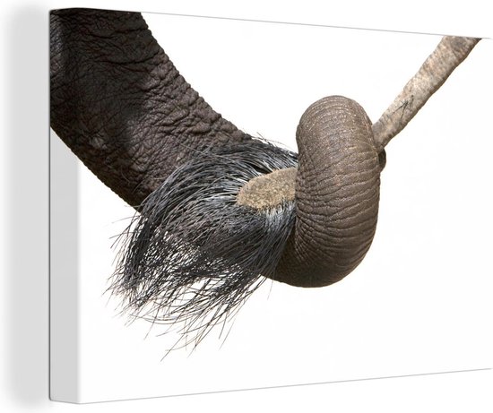 Canvas Schilderij Close-up van de slurf een jonge olifant die zijn moeders staart vasthoudt - 60x40 cm - Wanddecoratie