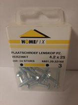 Homefix Plaatschroef-Lenskop PZ Verzinkt 4.2x25mm 20 Stuks