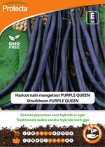 Protecta Groente zaden: Struikboon PURPLE QUEEN