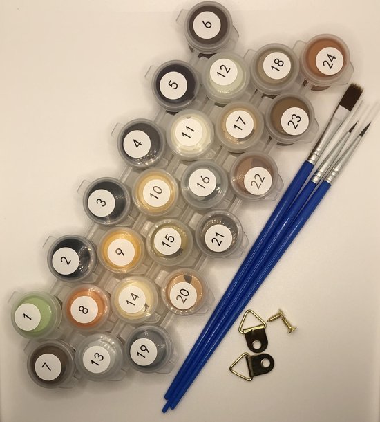 Set verfpotjes genummerd 1-24, met blauwe kwasten en ophangmateriaal voor een schilderij.