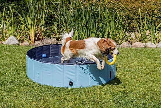 Fuzly - Hondenzwembad - zwembad voor honden - hondenbad - opvouwbaar -  120cmx30cm -... | bol