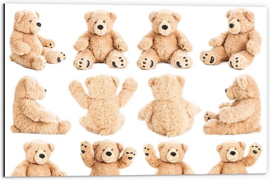 Dibond - Teddybeer in Verschillende Posities - 60x40cm Foto op Aluminium (Wanddecoratie van metaal)