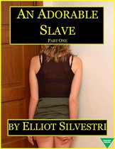An Adorable Slave (Part One)
