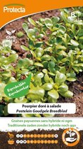 Protecta Groente zaden: Postelein Goudgele Breedblad